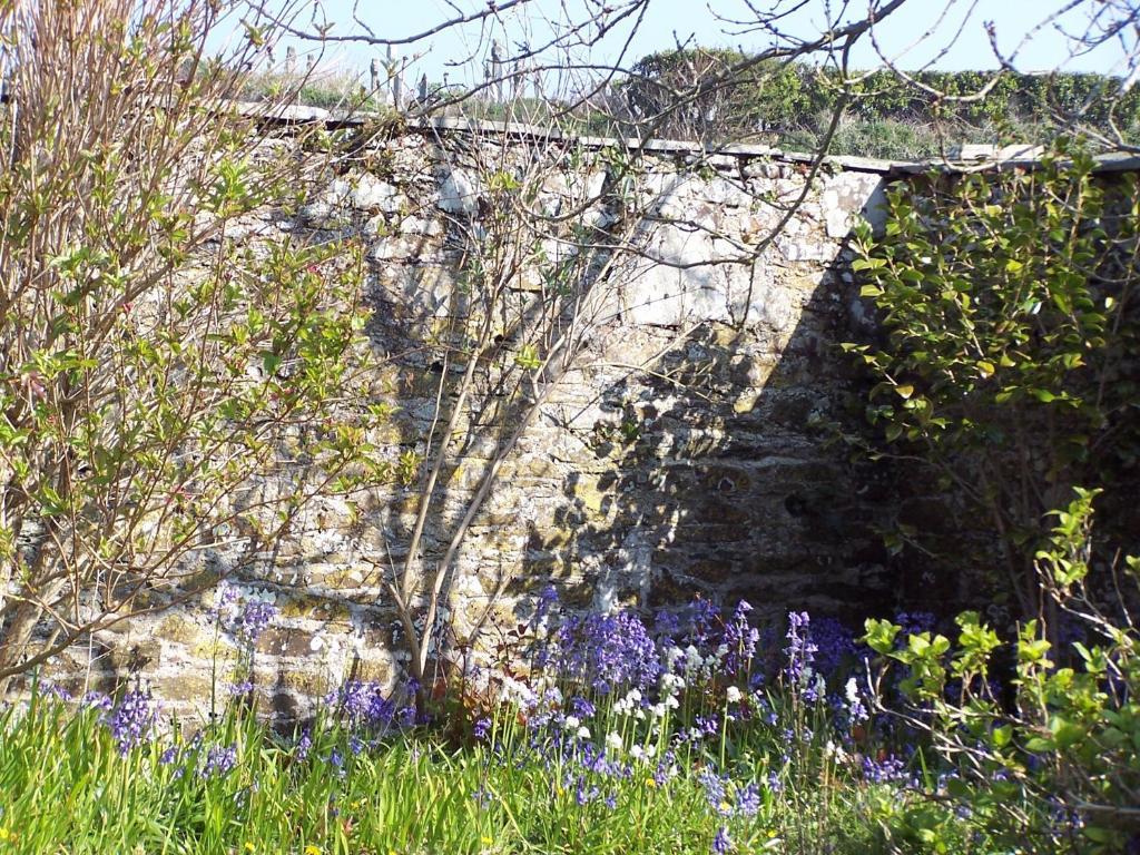 The Old Parsonage Acomodação com café da manhã Boscastle Exterior foto